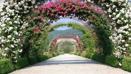 Botanični vrt v Mariboru